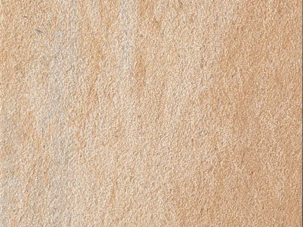 Rain Forest: Sand