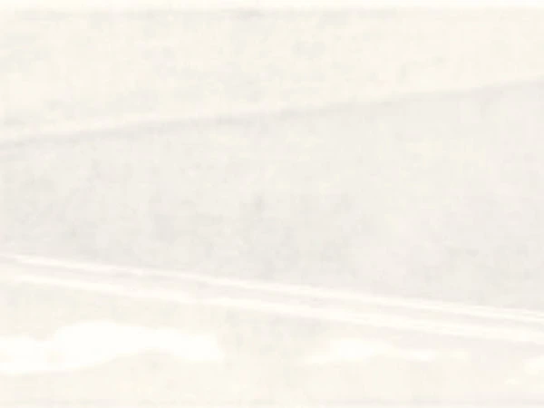 Oasis: White Décor