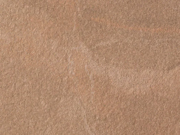 Rain Forest: Brown