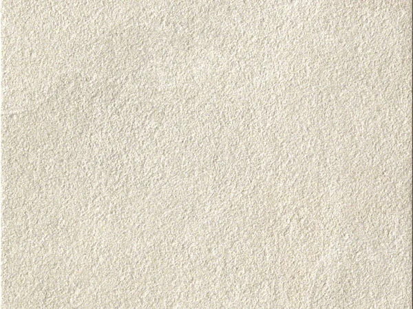 Rain Forest: White