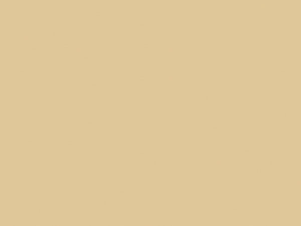 Subway +: Olive