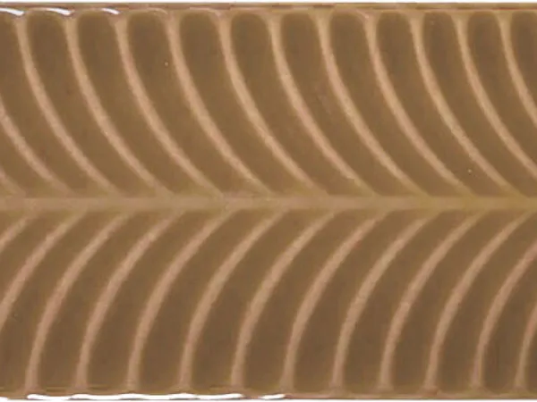Feather: Honey Gloss