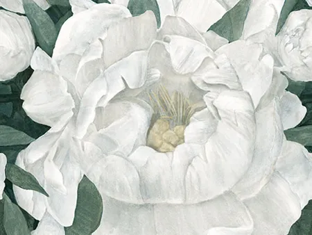 Paragon: Peony A Decor