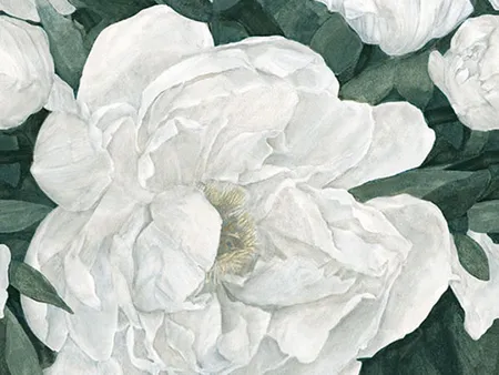Paragon: Peony B Decor