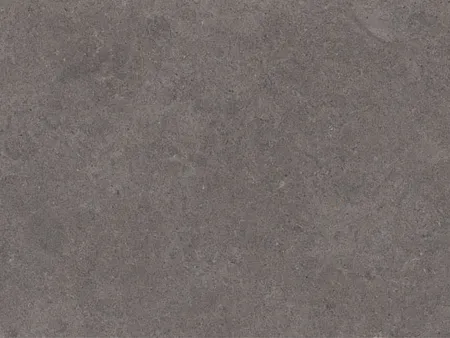 Simone: Charcoal