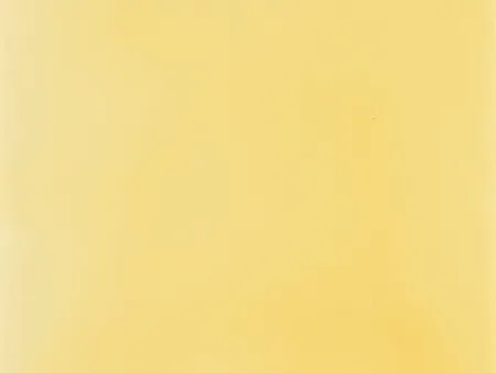 Rainbow: Camomile