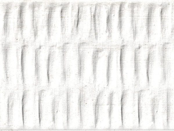 Terra: Ice Pencil Border