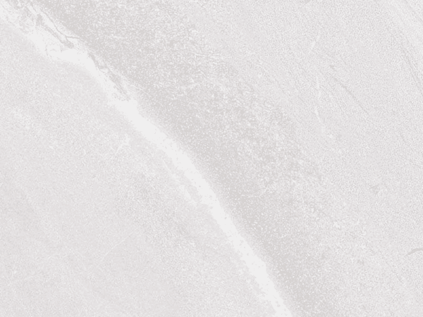 Marble Project: White Tibet - Anti-Slip